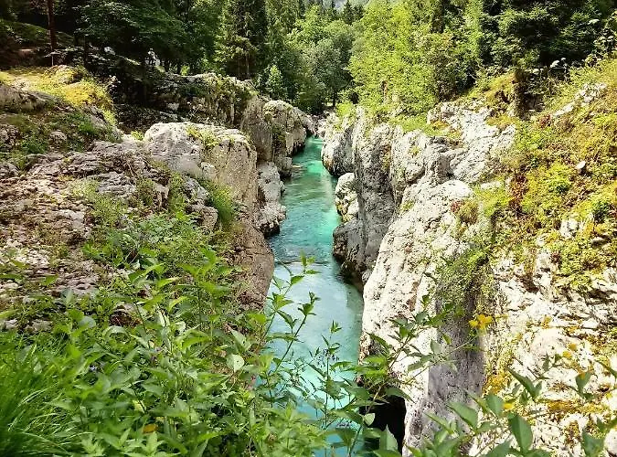 Beti Blu, Kaninska Vas شقة بوويتش