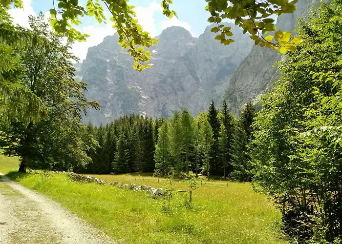 Beti Blu, Kaninska Vas *